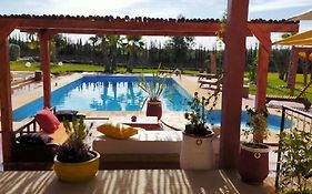 Terrasses vertes